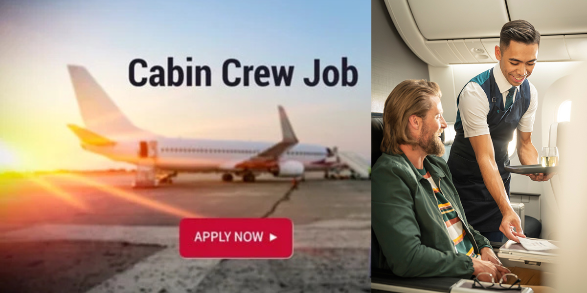 cabin crew jobs